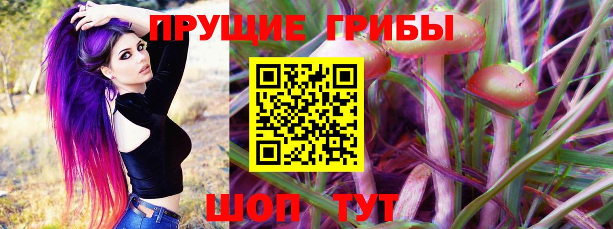 Псилоцибиновые грибы Psilocybine cubensis Родники