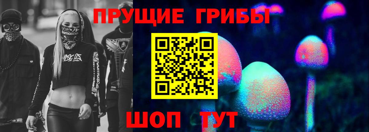 где найти   Галлюциногенные грибы MAGIC MUSHROOMS  Вход с VPN  Родники 